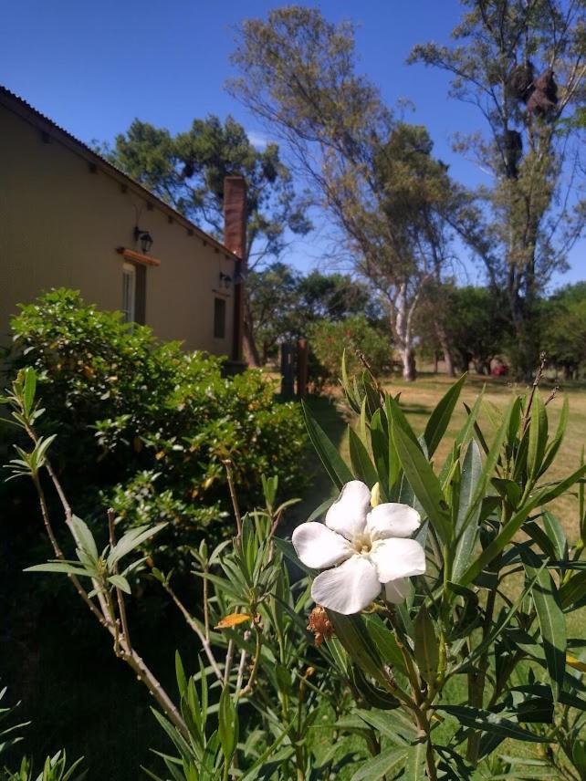 Holiday home El Trebol Naico